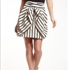 Eva Franco Professional + Stylish Skirt